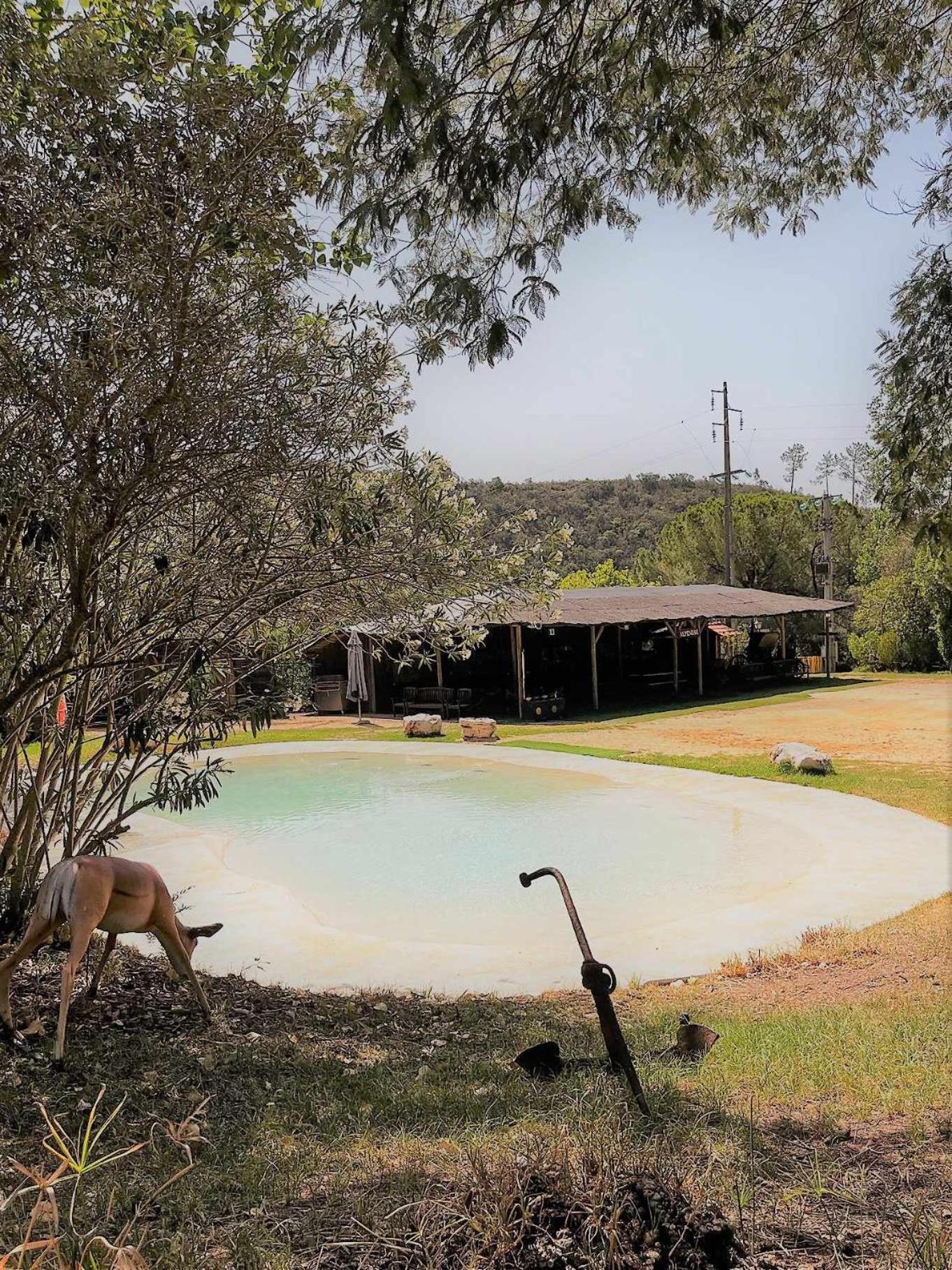 Parque Da Mina Luxe tent